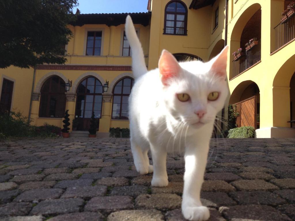 Villa Soleil Colleretto Giacosa Екстериор снимка